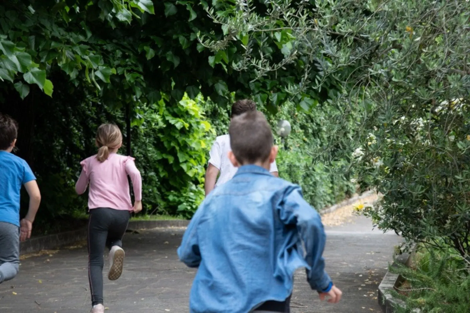 Bambini che corrono lungo un viale alberato nel verde del quartiere