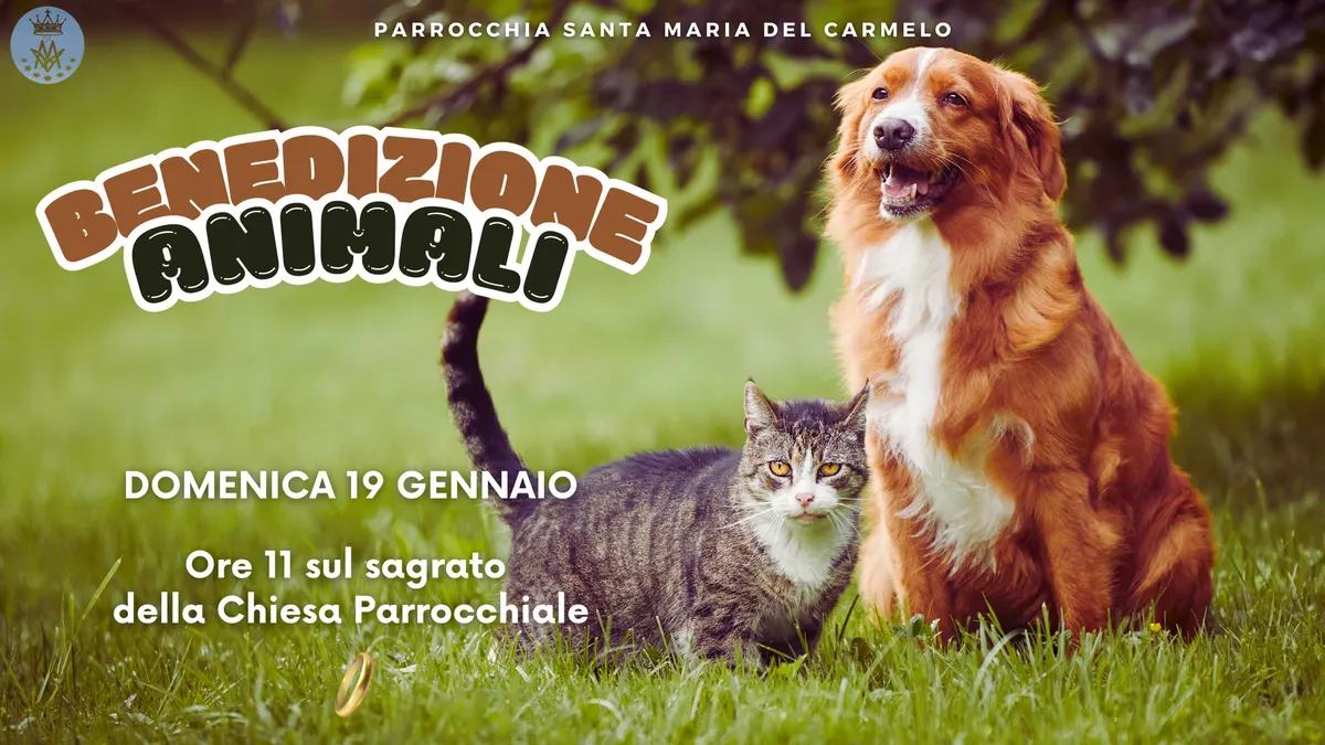 Benedizione degli animali