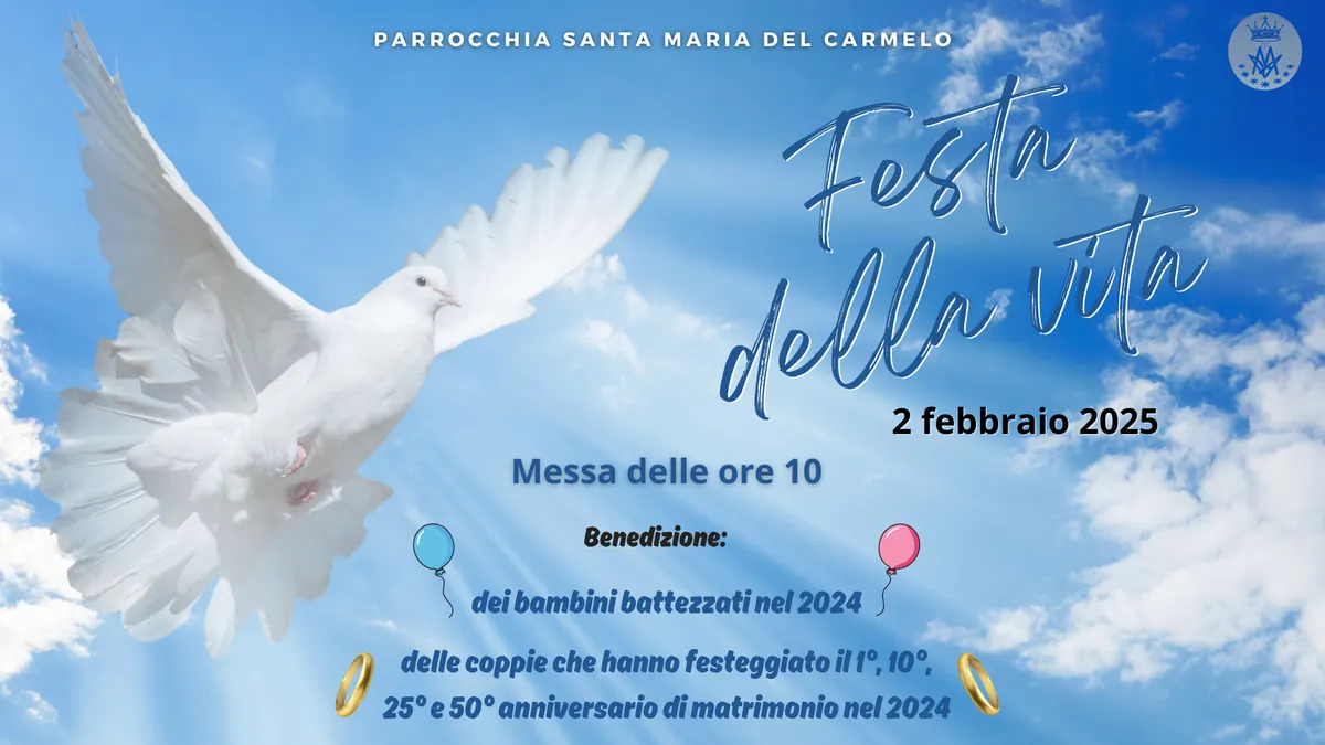 Festa della vita